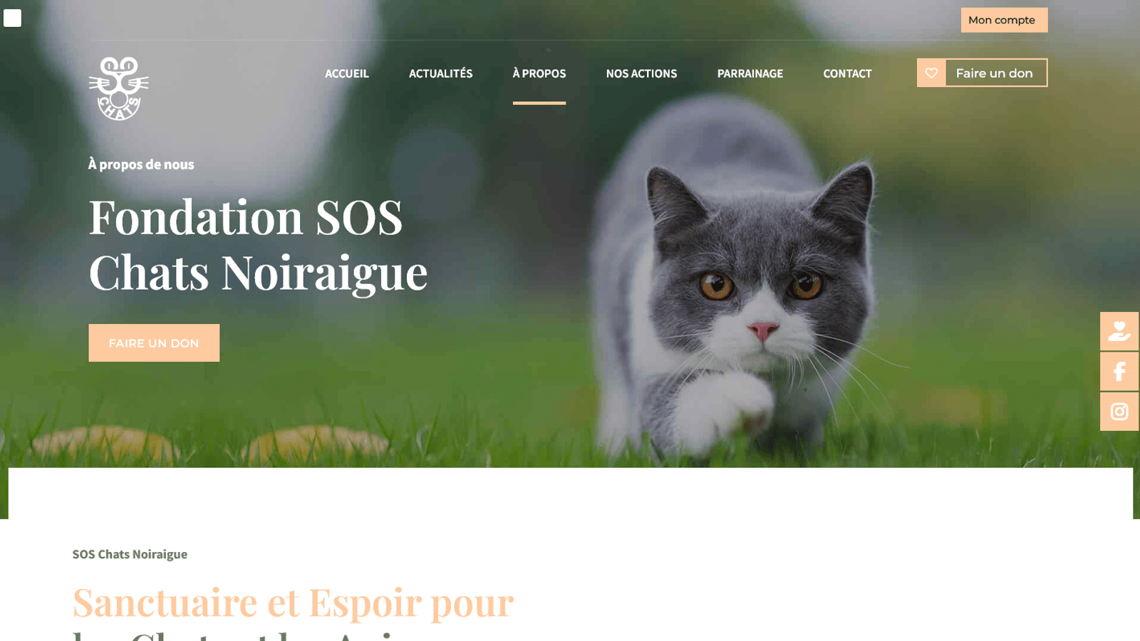 Aperçu du projet Fondation SOS Chats