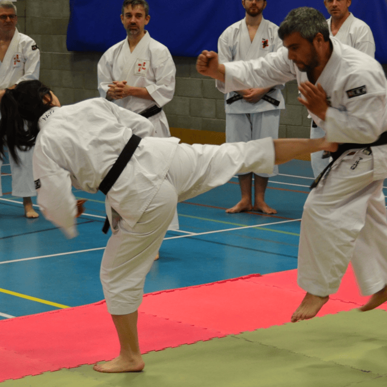 Site web Kempo Lausanne