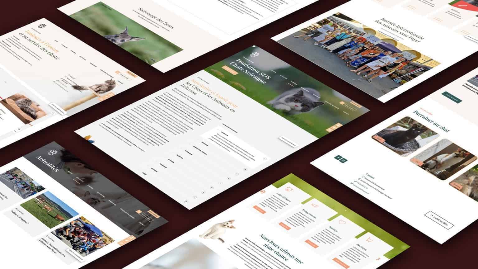 Fondation SOS Chats à Noiraigue dans le canton de Neuchâtel