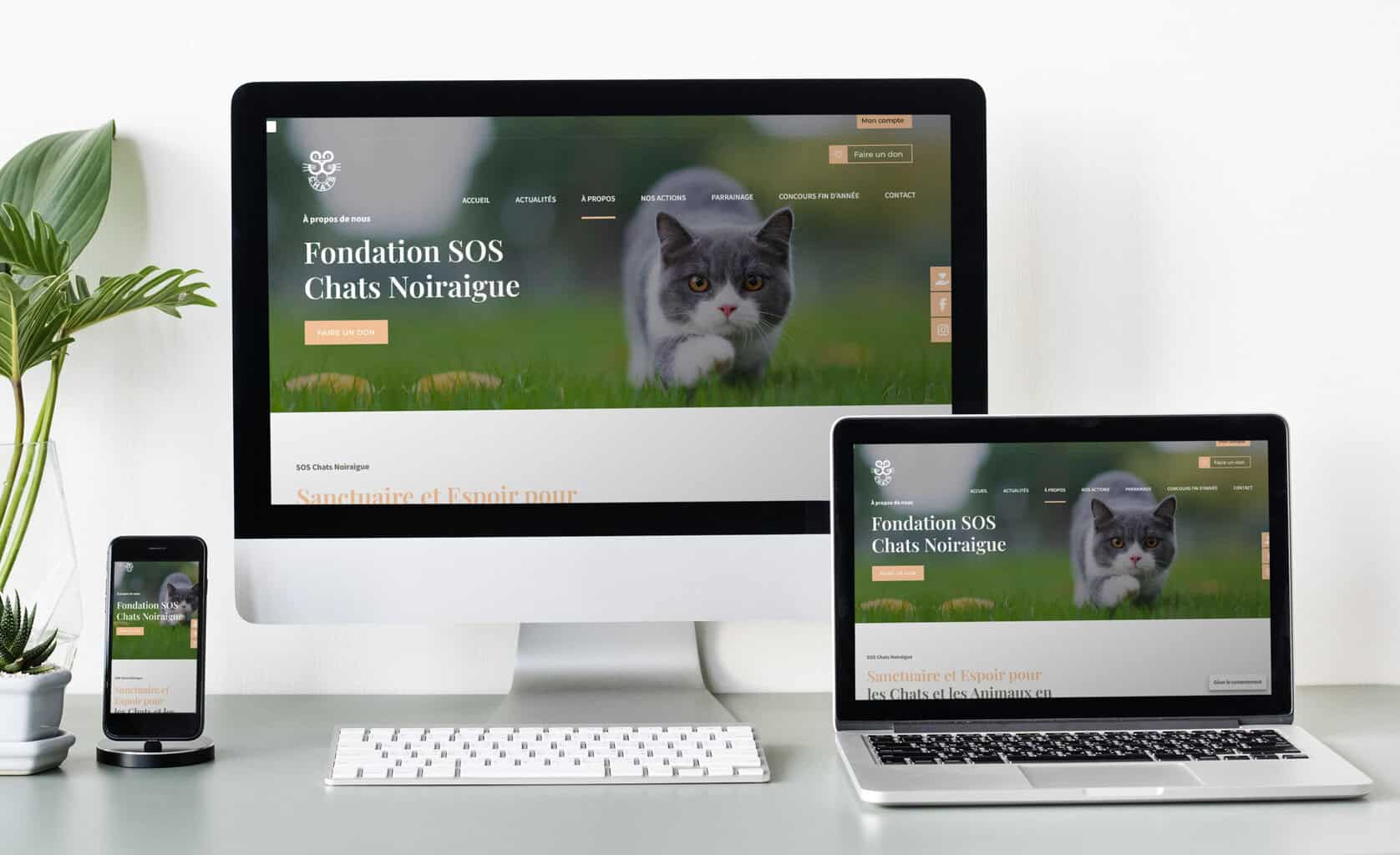 Fondation SOS Chats à Noiraigue dans le canton de Neuchâtel